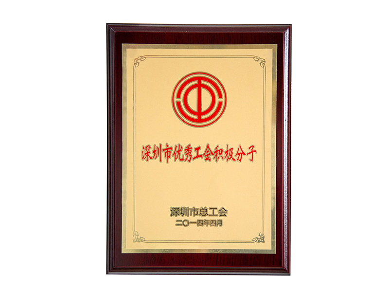 深圳市優(yōu)秀工會(huì)積極分子